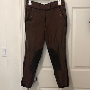 Ariat Breeches
